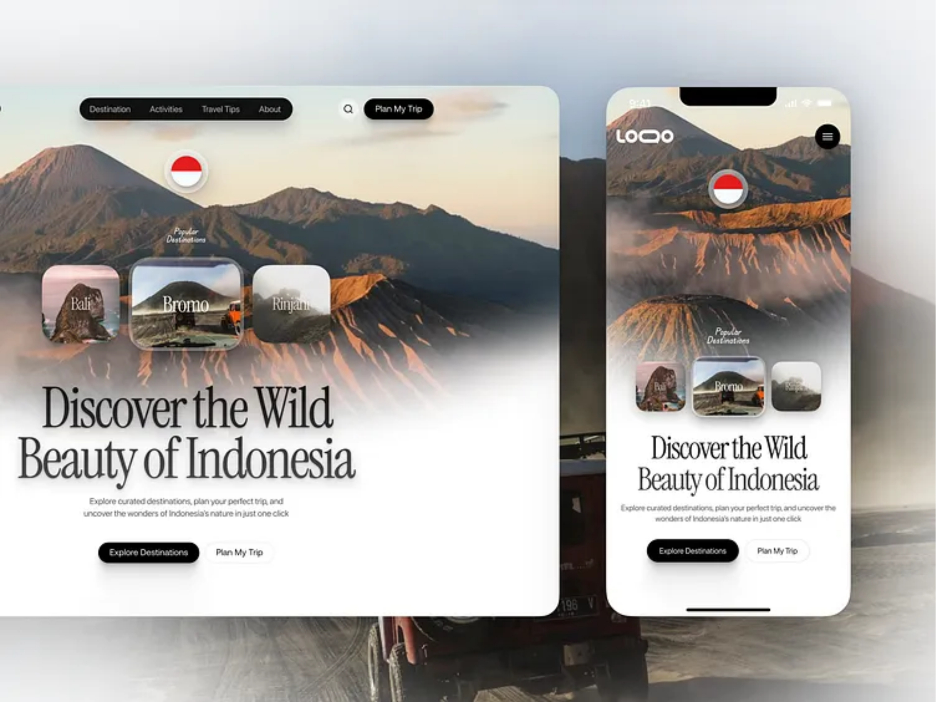 Premium Website Design